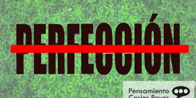 La Acción Perfecta Matará a tu #Blog-Pensamiento Carlos Reyes
