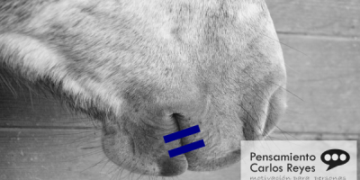 5 Cosas que Nunca deberías Decirle a tu Cliente #RRHH #MarcaPersonal