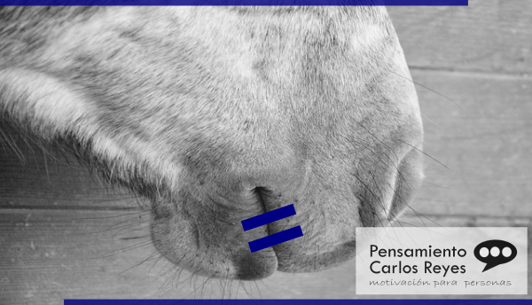 5 Cosas que Nunca deberías Decirle a tu Cliente #RRHH #MarcaPersonal